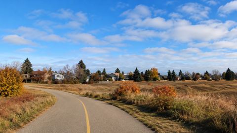 Beddington Heights