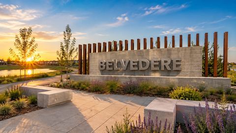 Belvedere
