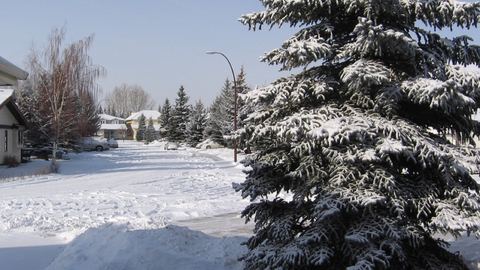 Millrise