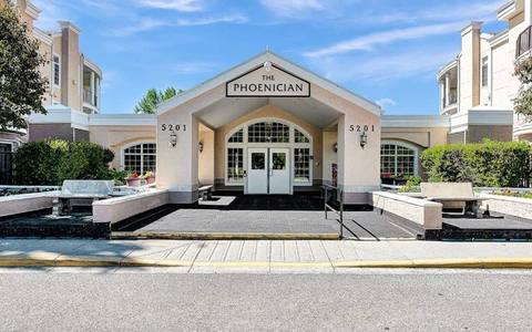 The Phoenician