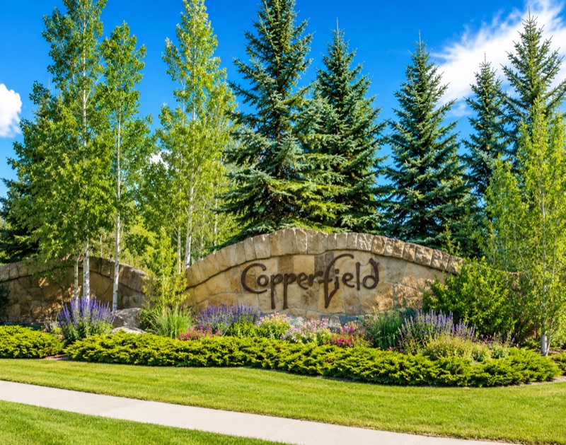 Copperfield neighbourhood park and pond