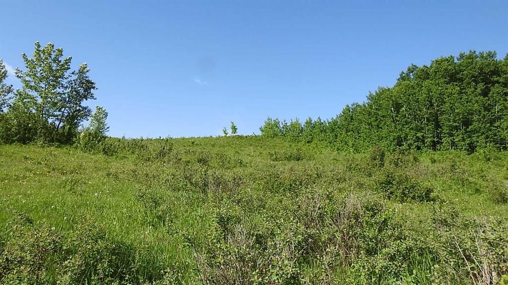 79.41 Acres SE-13-22-3W5, Rural Foothills County — photo 4 of 37