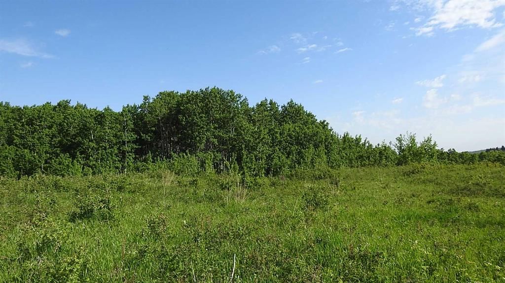 79.41 Acres SE-13-22-3W5, Rural Foothills County — photo 5 of 37