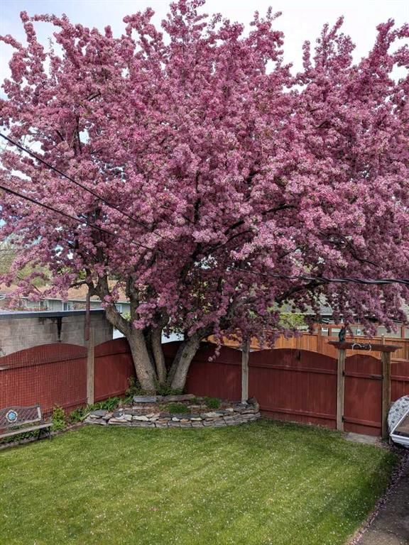 7520 7 Street SW, Calgary — photo 5 of 31