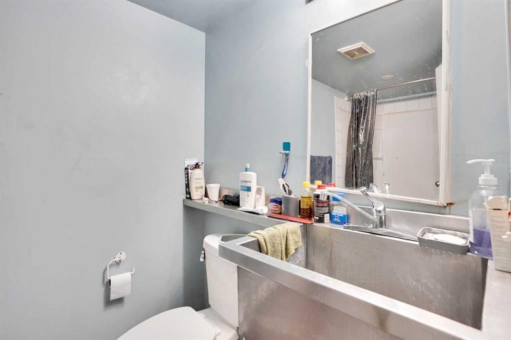 139 MARTINDALE Drive NE, Calgary — photo 5 of 42
