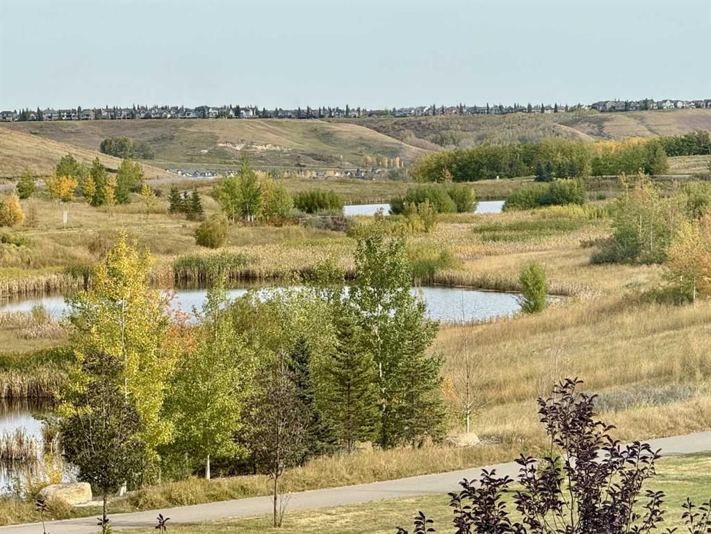 10 Walden Lane SE, Calgary — photo 3 of 49