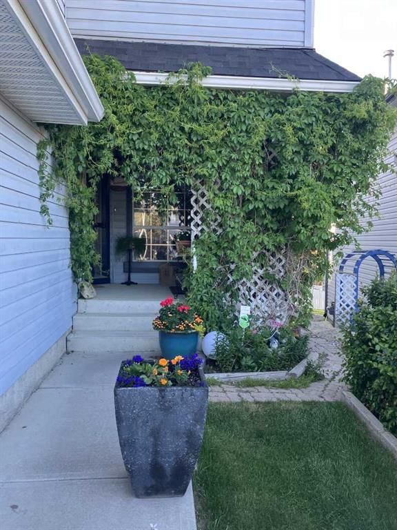 246 Harvest Oak Rise NE, Calgary — photo 3 of 35