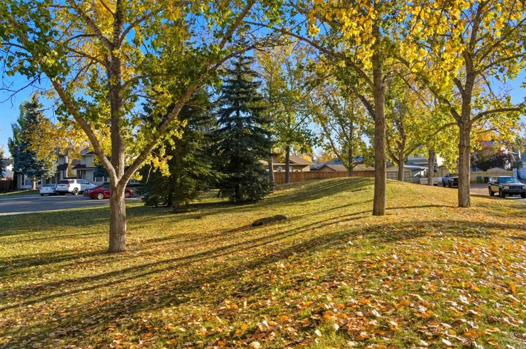 165 Sunvale Crescent SE, Calgary — photo 4 of 31