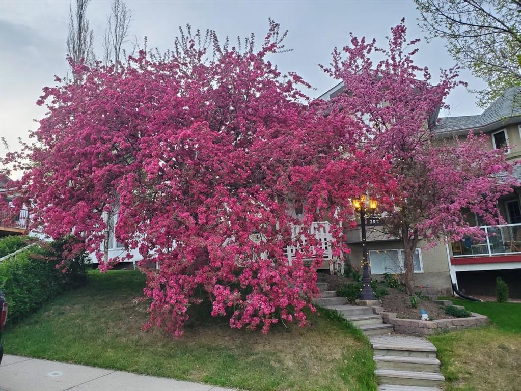 202 30 Avenue NW, Calgary — photo 4 of 50