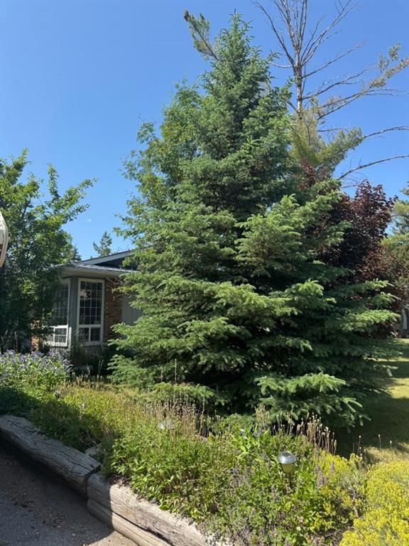 431 Queen Charlotte Drive SE, Calgary — photo 4 of 11