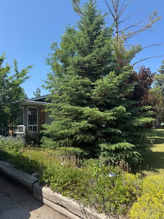 431 Queen Charlotte Drive SE, Calgary — photo 5 of 11