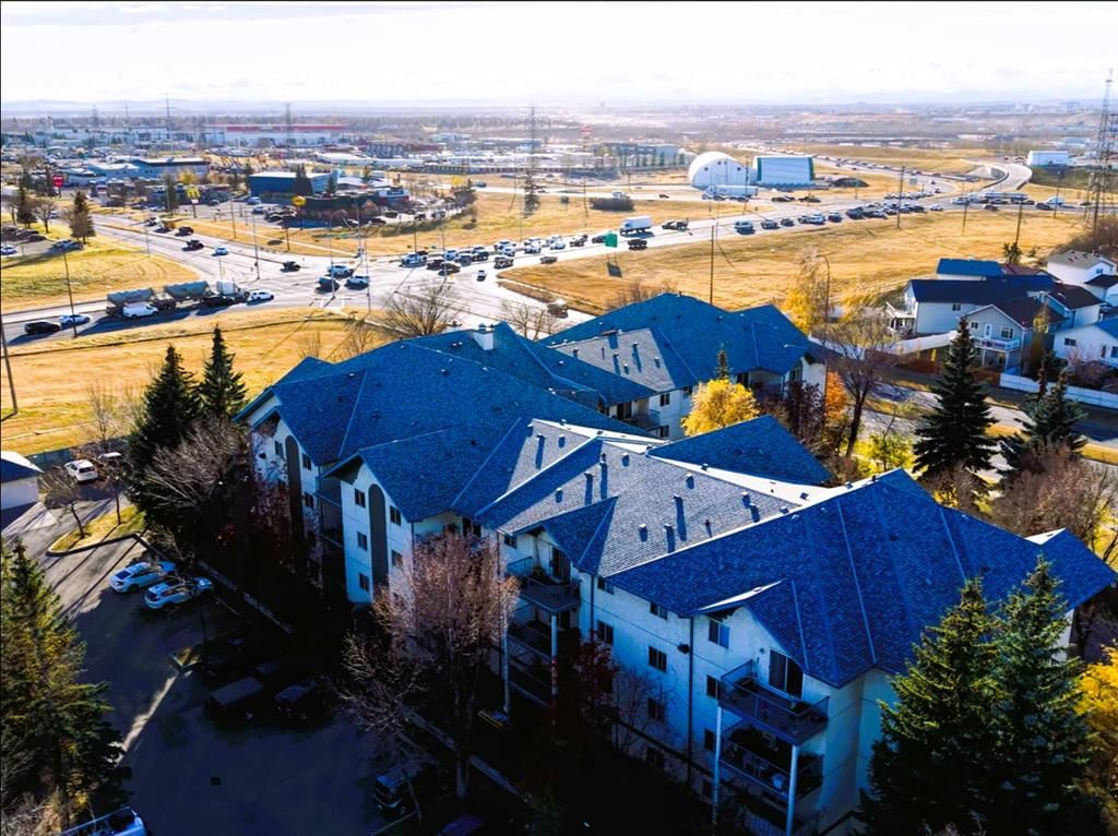 116, 11 Dover Point SE, Calgary — photo 3 of 50