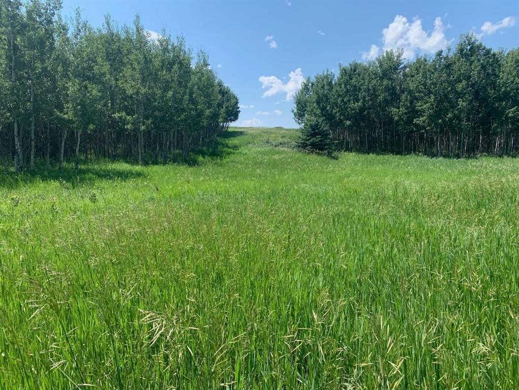 75.50 Acres North Springbank 5;3;25;28;SE, Rural Rocky View County — photo 5 of 22