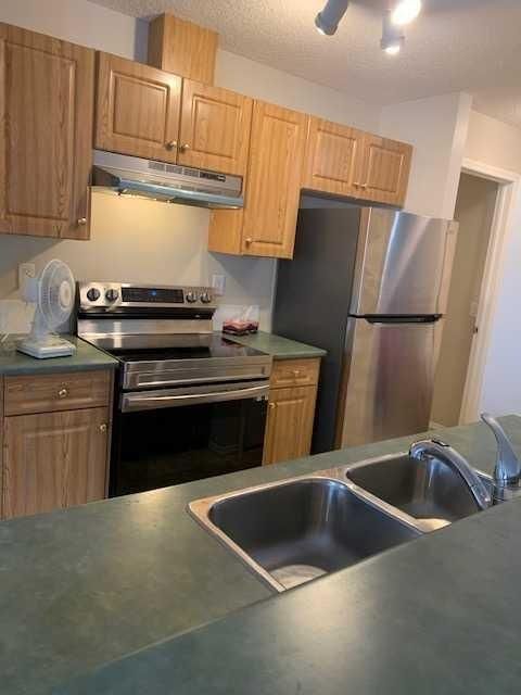 219, 260 Shawville Way SE, Calgary — photo 4 of 20