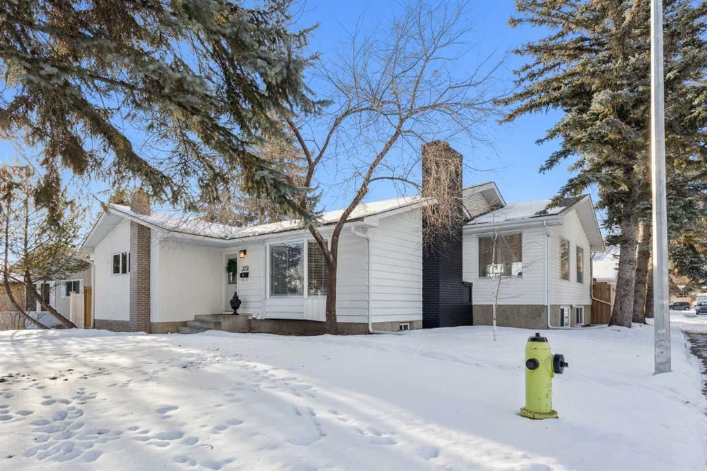 3731 45 Street SW, Calgary — photo 2 of 50
