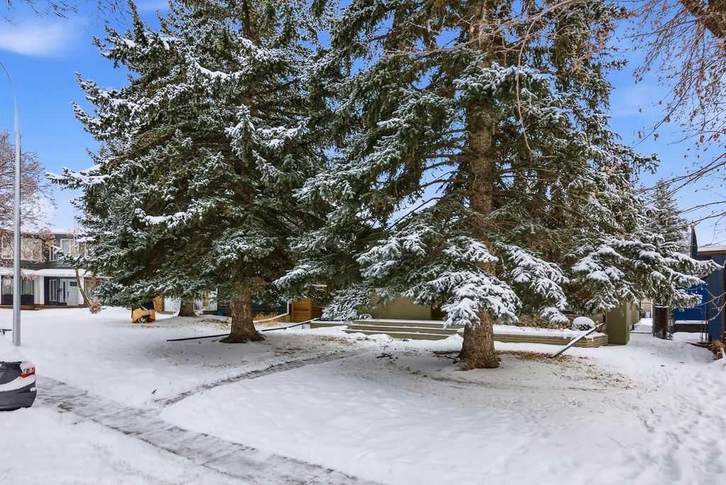 3449 Lane Crescent SW, Calgary — photo 4 of 50