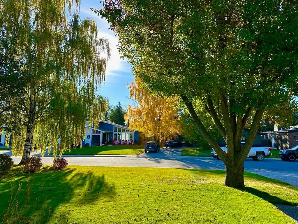 10723 Willowfern Drive SE, Calgary — photo 5 of 50