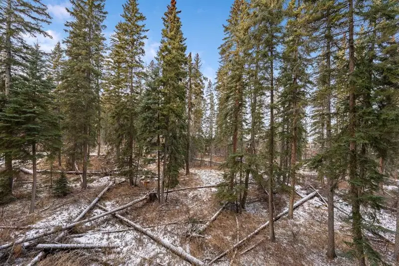 206, 10 Discovery Ridge Close SW, Calgary — main listing photo