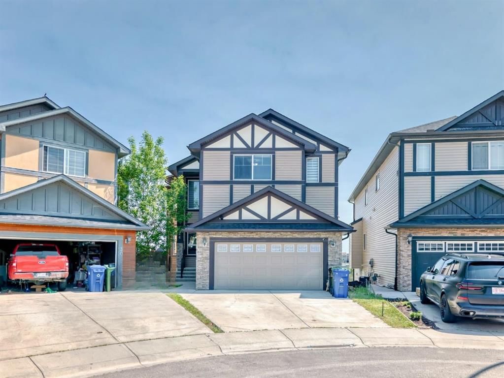26 Saddlelake View NE, Calgary — photo 2 of 50