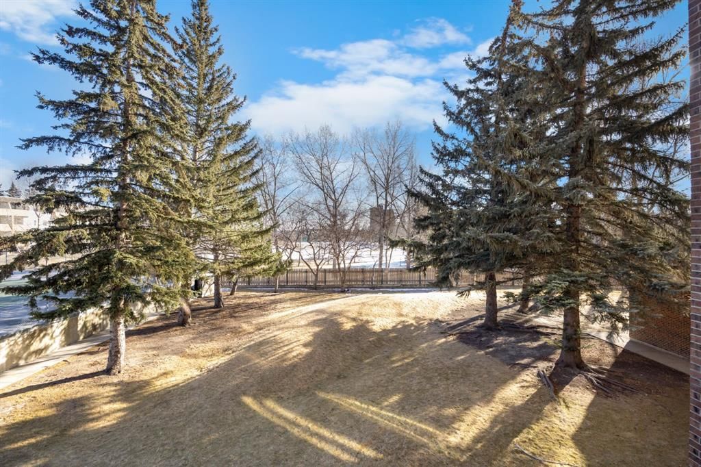 212, 4944 Dalton Drive NW, Calgary — photo 2 of 20