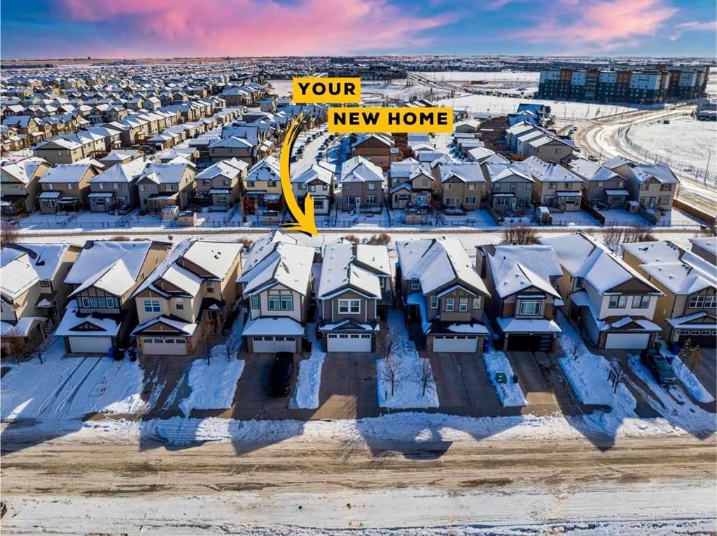 26 Skyview Ranch Street NE, Calgary — photo 2 of 41