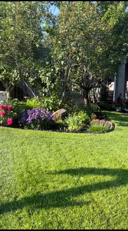 7 Mountain Park Circle SE, Calgary — photo 5 of 50