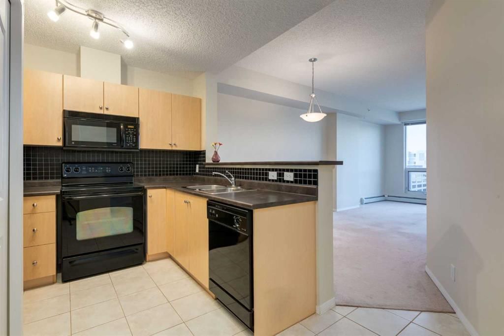 1009, 1053 10 Street SW, Calgary — photo 3 of 34