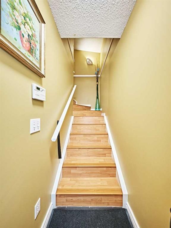 1535 11 Street SW, Calgary — photo 4 of 50