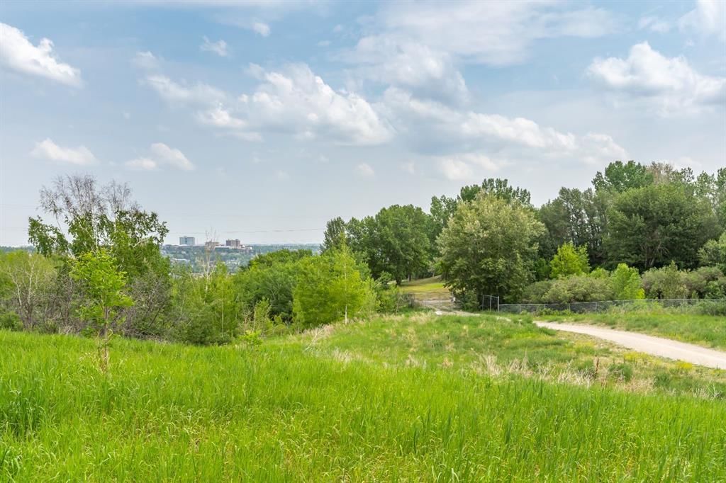 31, 528 Cedar Crescent SW, Calgary — main listing photo