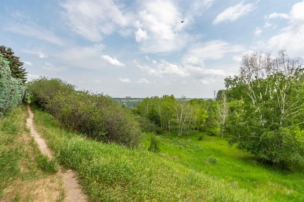 31, 528 Cedar Crescent SW, Calgary — photo 2 of 28