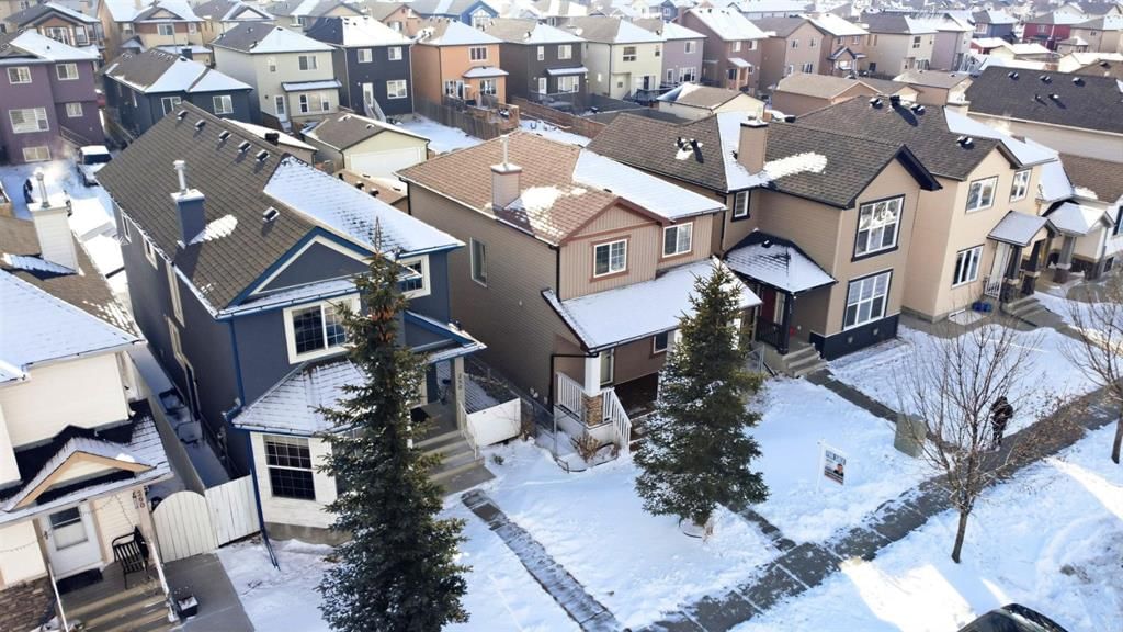 252 Saddlecrest Boulevard NE, Calgary — photo 4 of 21