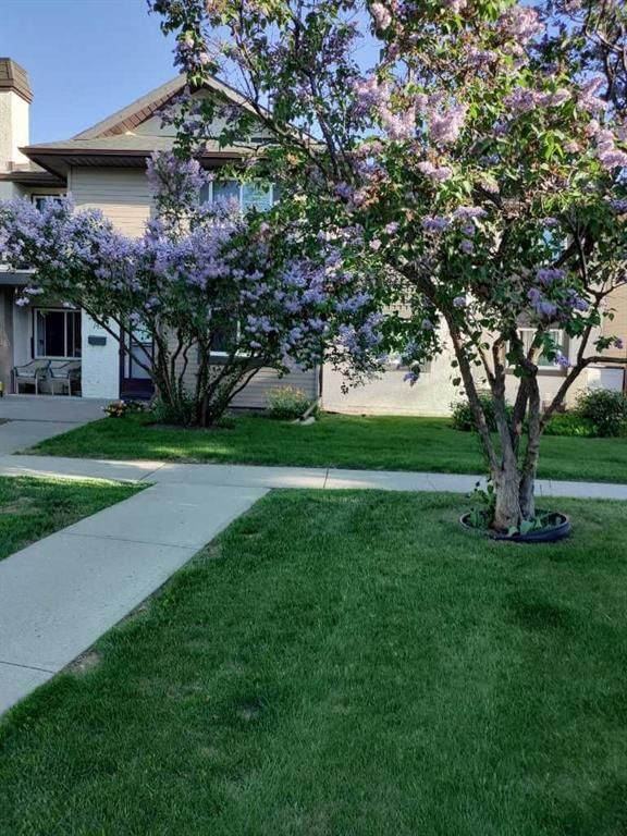 141 Cedar Springs Gardens SW, Calgary — photo 2 of 42