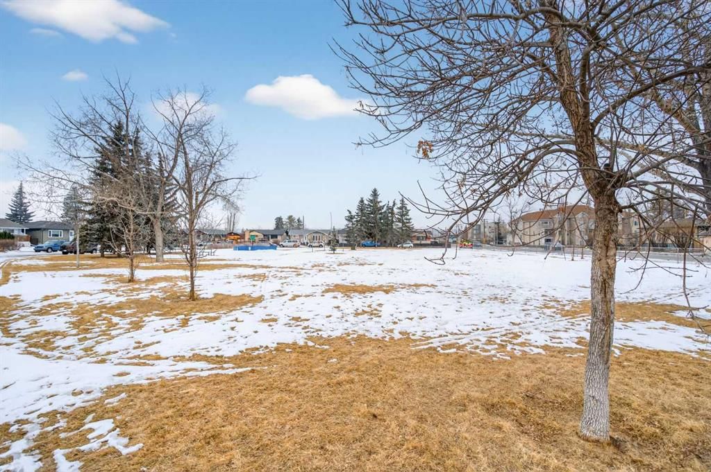 19 Beaupre Crescent NW, Calgary — photo 3 of 50
