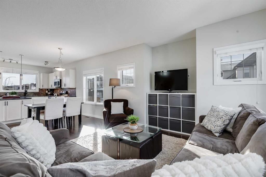 114 Skyview Springs Rise NE, Calgary — photo 5 of 38