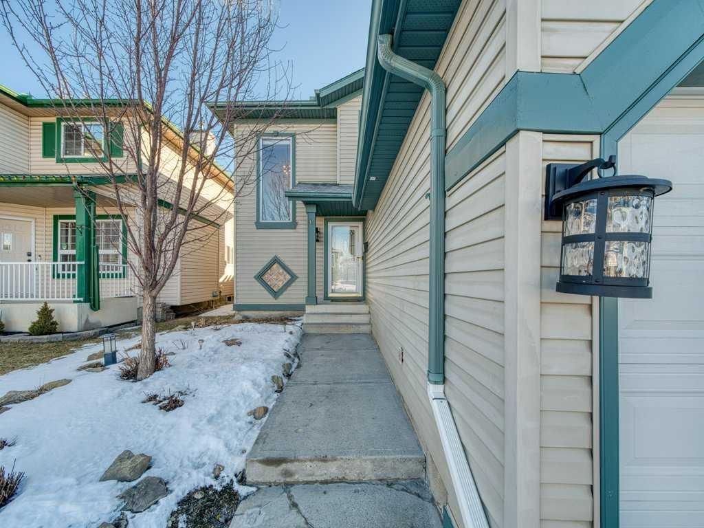 17 Douglas Woods Gardens SE, Calgary — photo 3 of 48