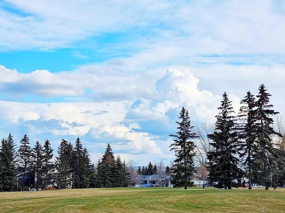 232 Millbank Drive SW, Calgary — photo 4 of 49