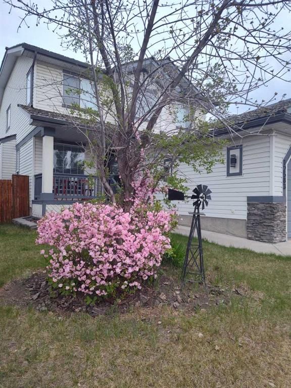 12583 Douglas Woods Road SE, Calgary — photo 4 of 48