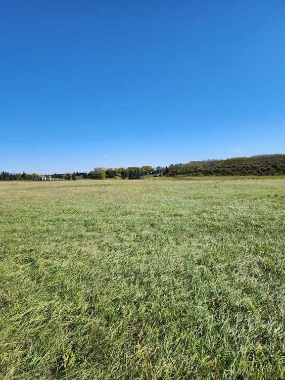 32079 Willow Way, Rural Rocky View County — photo 3 of 24