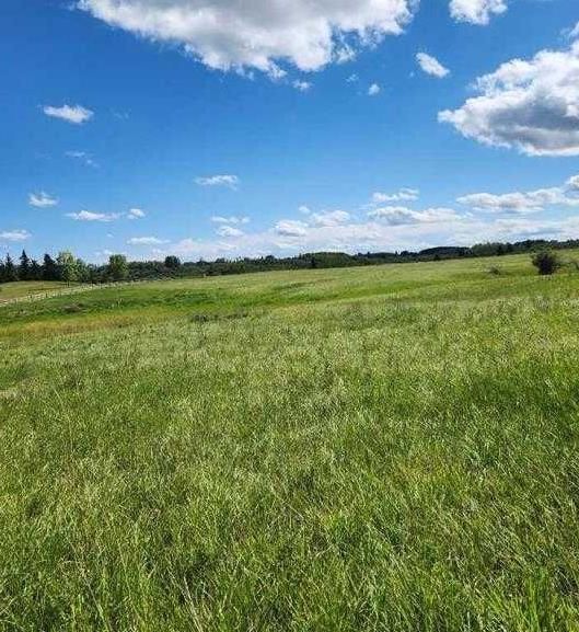32079 Willow Way, Rural Rocky View County — photo 4 of 24