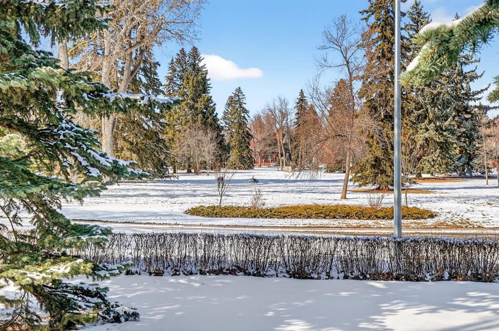 1301 Cabot Street SW, Calgary — photo 4 of 50
