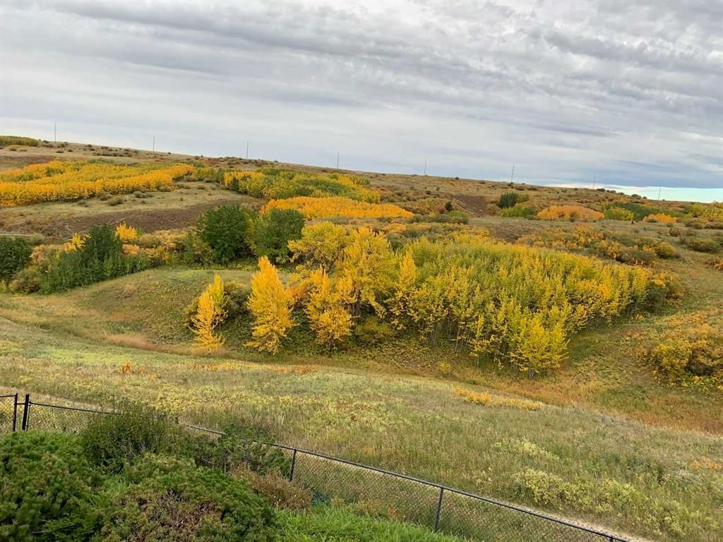 356 Macewan Park View NW, Calgary — photo 2 of 50