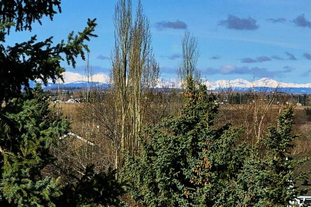 286 Mountain Park Drive SE, Calgary — photo 4 of 46