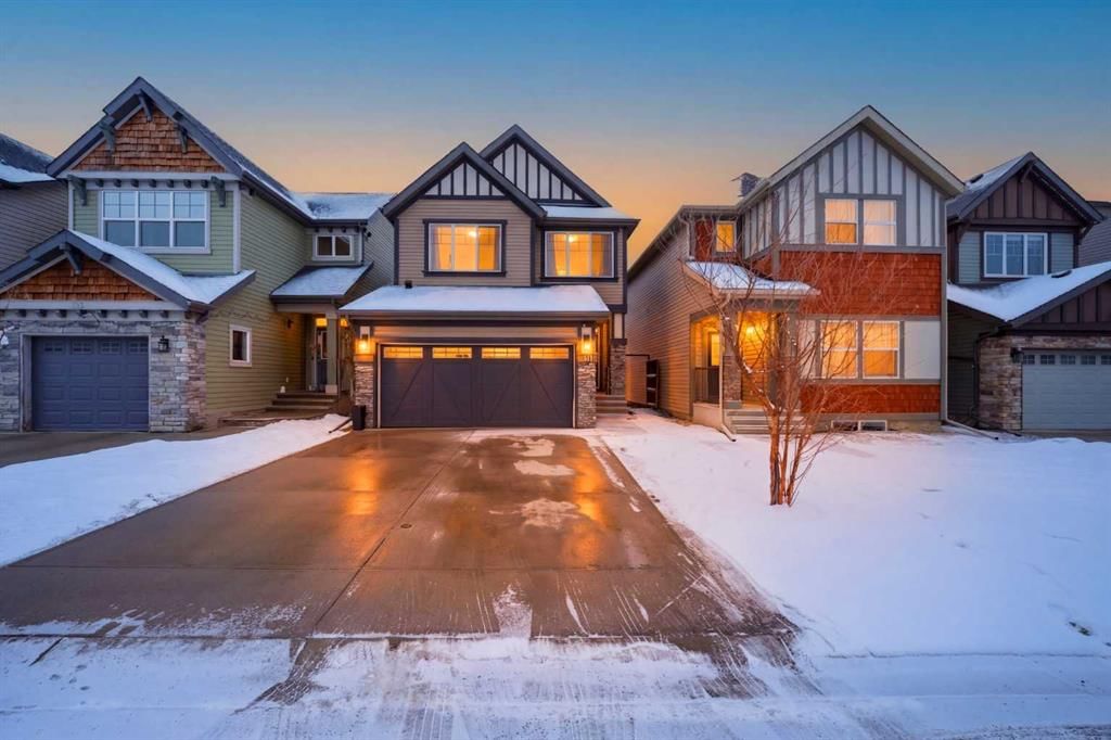 119 Skyview Point Crescent NE, Calgary — main listing photo