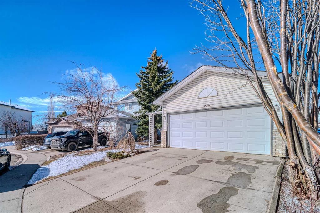 239 Arbour Wood Close NW, Calgary — photo 3 of 37
