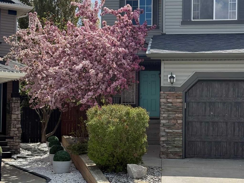 28 Chapman Court SE, Calgary — photo 4 of 50