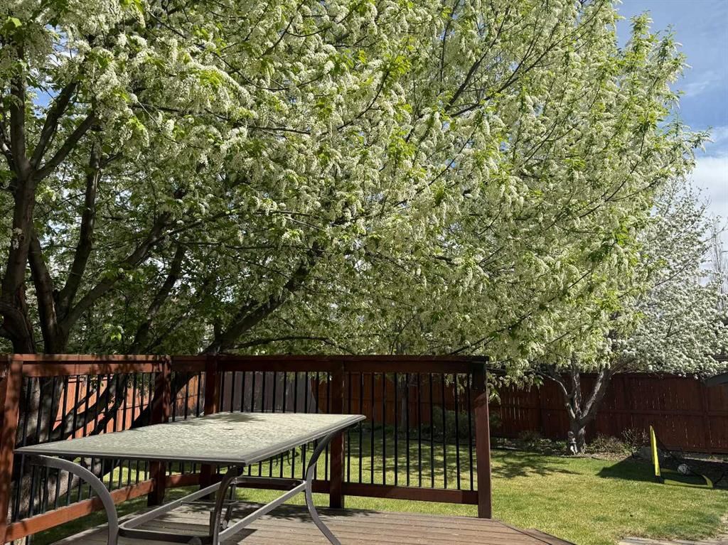 28 Chapman Court SE, Calgary — photo 5 of 50