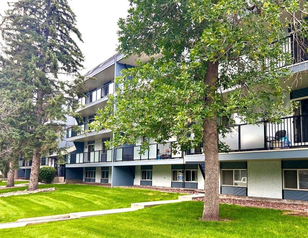 Main photo