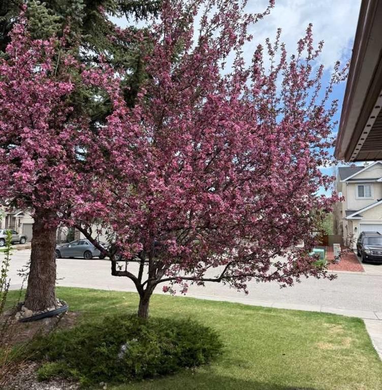 186 Mt Assiniboine Circle SE, Calgary — photo 3 of 50