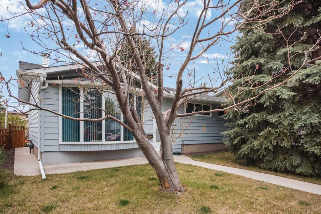 3623 54 Avenue SW, Calgary — photo 2 of 41
