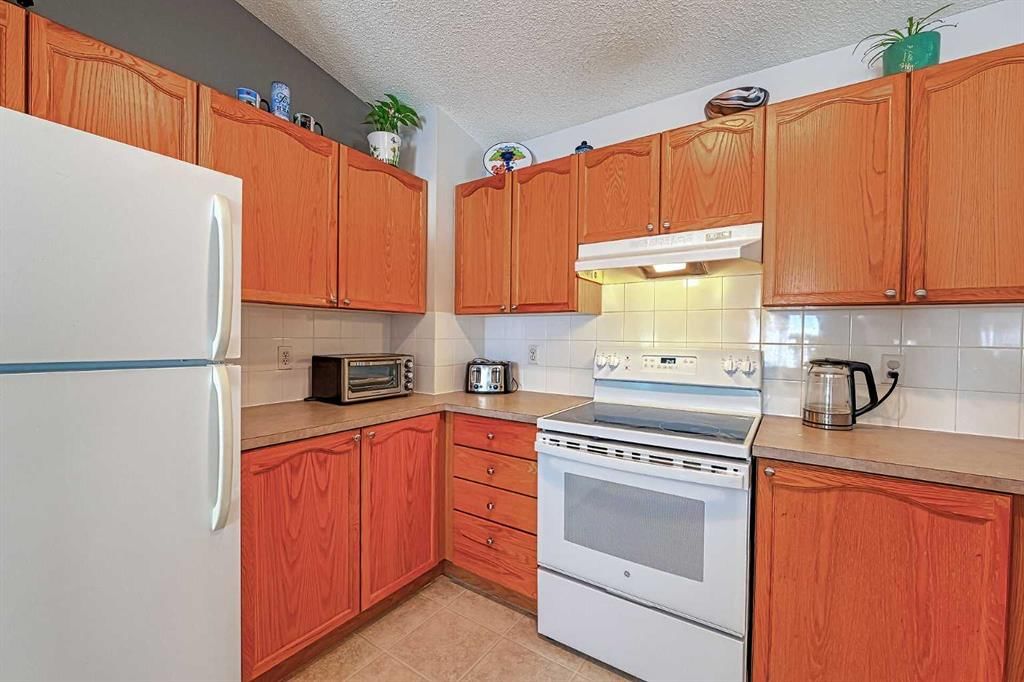 234 Martinvalley Mews NE, Calgary — photo 5 of 27